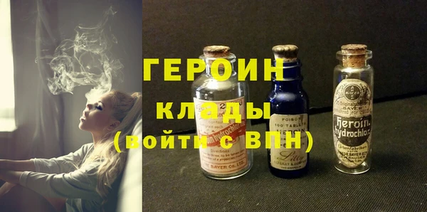 индика Дмитриев