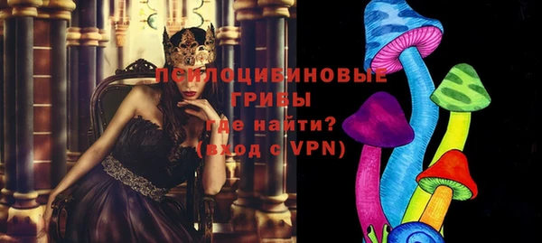 МДПВ Александровское
