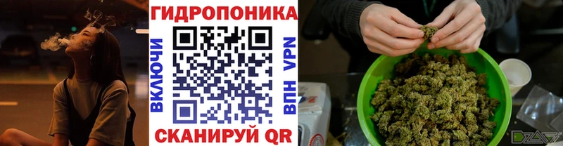 Шишки марихуана OG Kush  наркошоп  blacksprut ССЫЛКА  Бежецк 